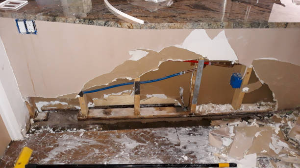 Best Water damage restoration near me  in Fremont, NE
