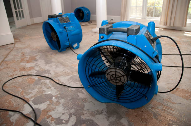 Best Fire Damage Restoration  in Fremont, NE