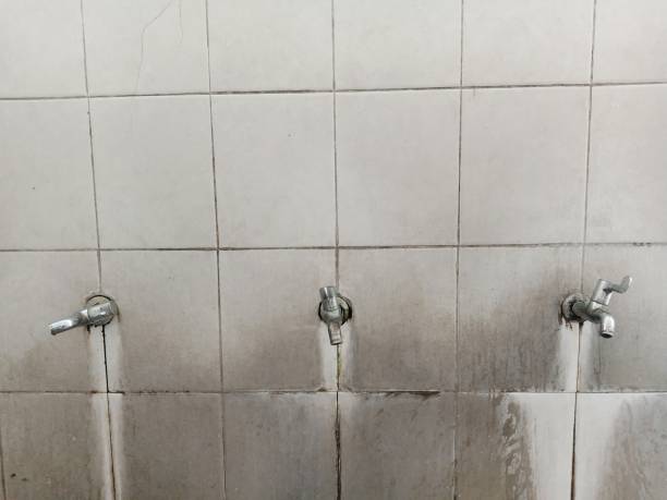 Best Ceiling water damage repair  in Fremont, NE