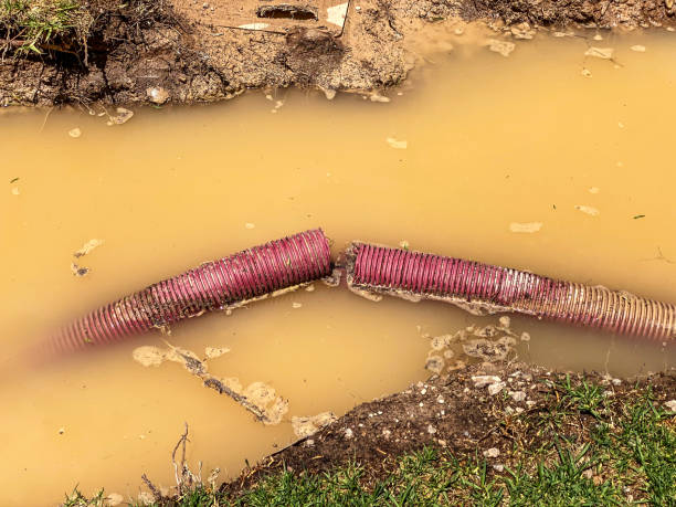 Best Water damage mitigation services  in Fremont, NE