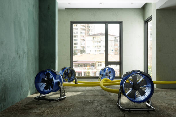 Best 24-hour water damage restoration  in Fremont, NE
