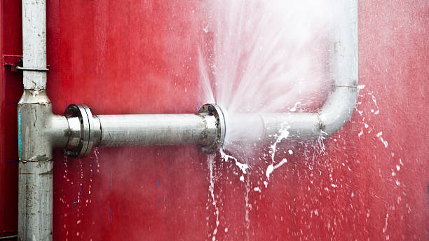 Best Mold removal after water damage  in Fremont, NE